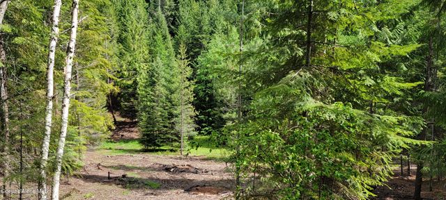 492 Stellar Jay Rd, Bonners Ferry, ID 83805