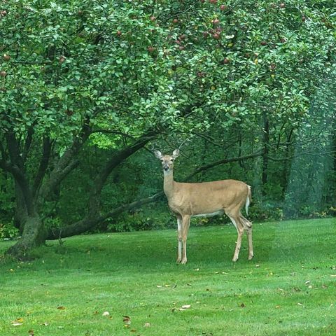 W15501 US Highway 10, Fairchild, WI 54741