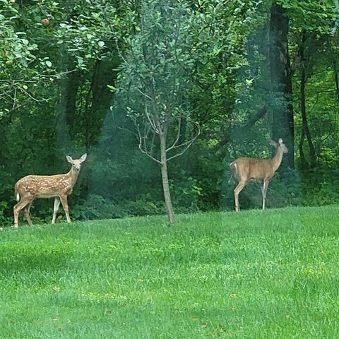 W15501 US Highway 10, Fairchild, WI 54741