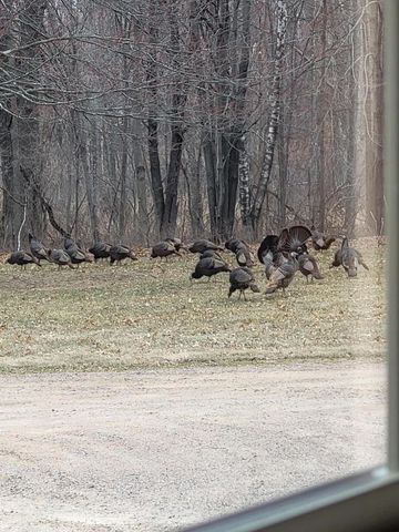 W15501 US Highway 10, Fairchild, WI 54741