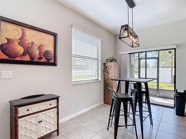 4023 WILD SENNA BOULEVARD, Tampa, FL 33619