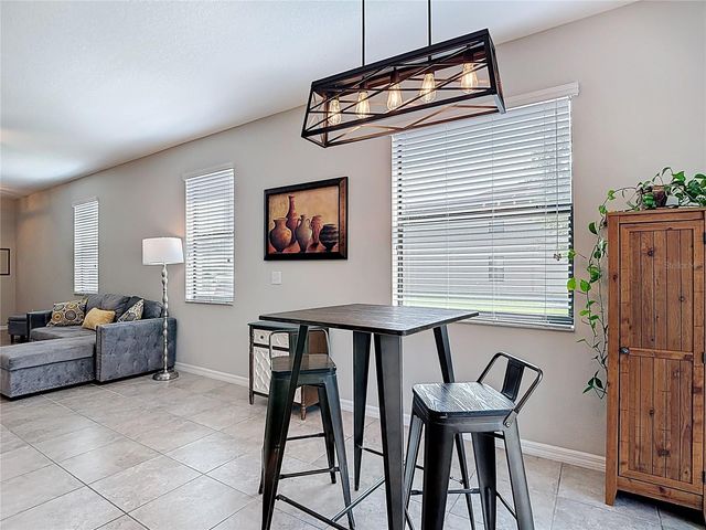 4023 WILD SENNA BOULEVARD, Tampa, FL 33619