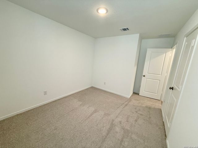 311 MOSCATO RD, New Braunfels, TX 78130