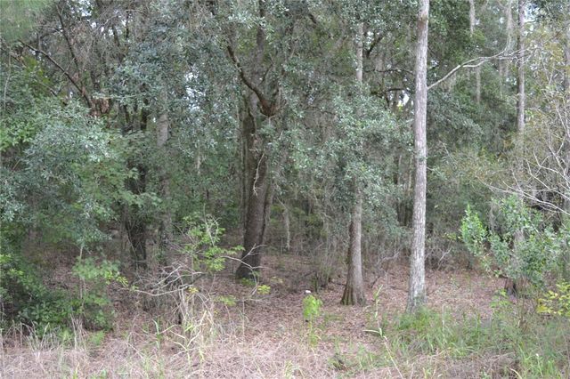 DEEN STILL ROAD W, Polk City, FL 33868