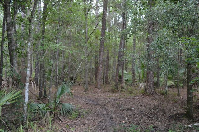 DEEN STILL ROAD W, Polk City, FL 33868