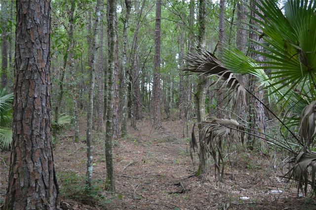 DEEN STILL ROAD W, Polk City, FL 33868