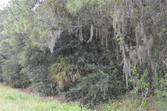 DEEN STILL ROAD W, Polk City, FL 33868