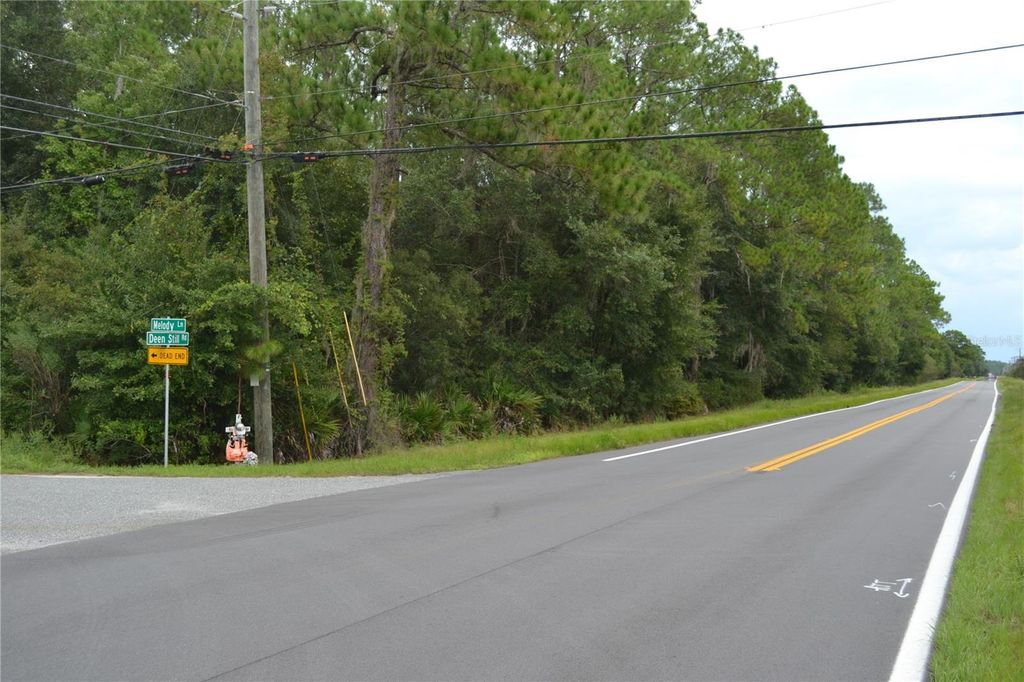 DEEN STILL ROAD W, Polk City, FL 33868