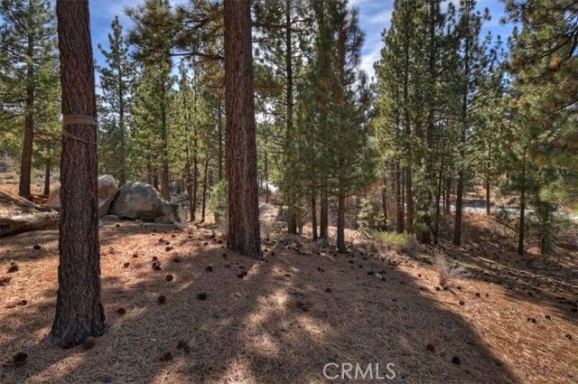 42243 Castle Crag, Big Bear Lake, CA 92315