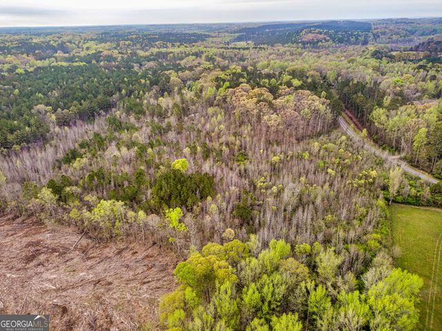 0 Mount Carmel Road, Newnan, GA 30263
