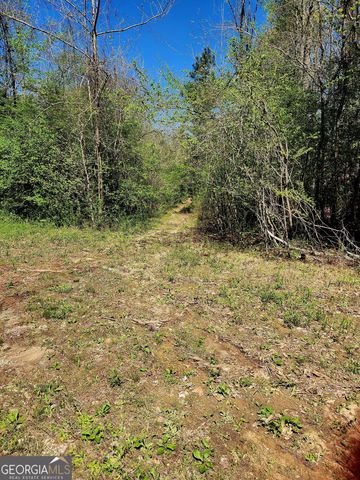 0 Mount Carmel Road, Newnan, GA 30263
