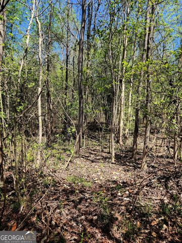0 Mount Carmel Road, Newnan, GA 30263