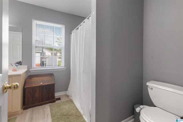 6205 VISTA TRAIL, Southside, AL 35907