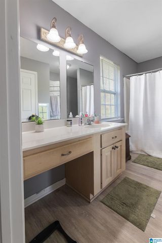 6205 VISTA TRAIL, Southside, AL 35907