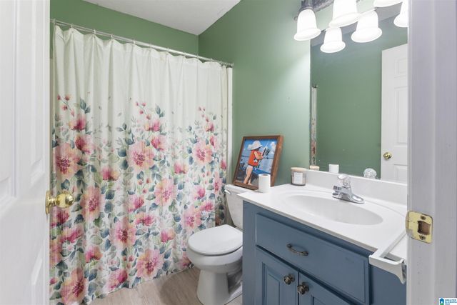 6205 VISTA TRAIL, Southside, AL 35907