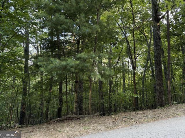 LOT 46 Fox Run Drive 46, Blue Ridge, GA 30513