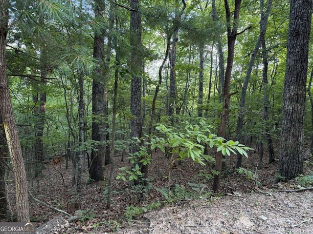LOT 46 Fox Run Drive 46, Blue Ridge, GA 30513