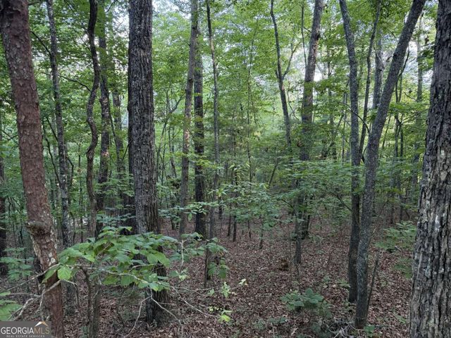 LOT 46 Fox Run Drive 46, Blue Ridge, GA 30513