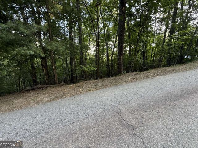 LOT 46 Fox Run Drive 46, Blue Ridge, GA 30513