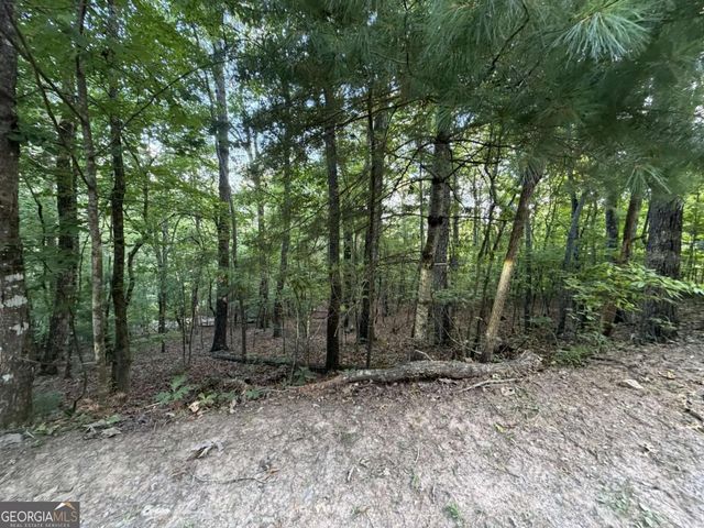 LOT 46 Fox Run Drive 46, Blue Ridge, GA 30513
