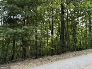 LOT 46 Fox Run Drive 46, Blue Ridge, GA 30513