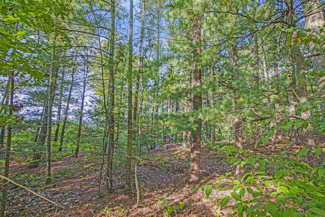 Parcel A 144th Avenue, West Olive, MI 49460