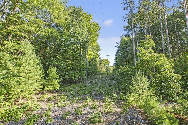 Parcel A 144th Avenue, West Olive, MI 49460