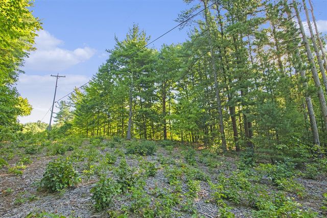 Parcel A 144th Avenue, West Olive, MI 49460