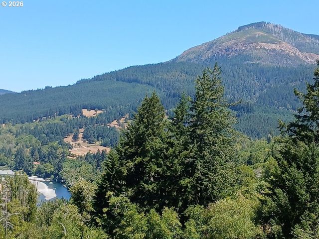 99608 S BANK CHETCO Rd, Brookings, OR 97415