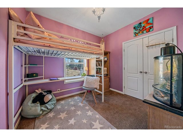 147 Overlook Dr, Bailey, CO 80421