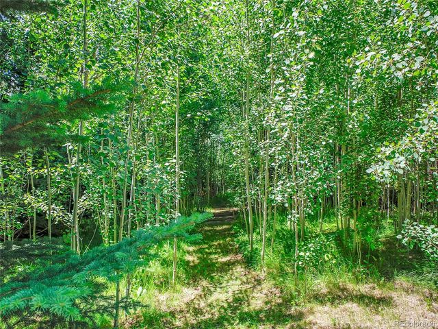 5350 Yellowstone St, Bow Mar, CO 80123