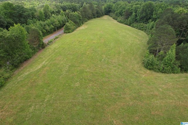 21 COUNTY ROAD 97, Bremen, AL 35033