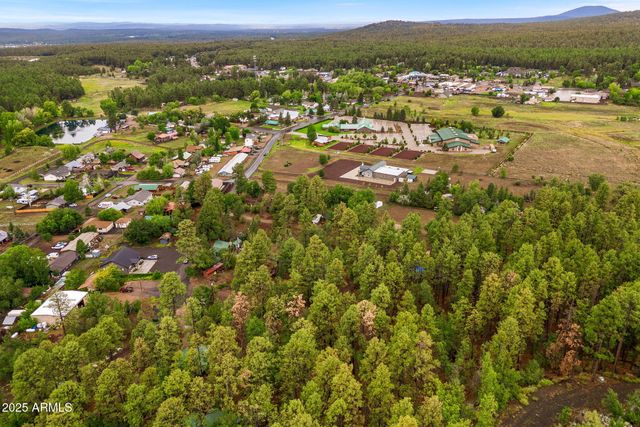 2249 S Penrod Lane, Pinetop, AZ 85935