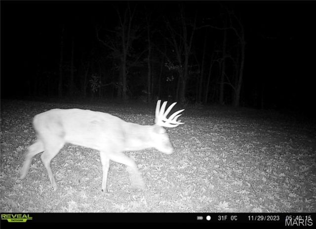 2 Whitetail Ridge Road, Eolia, MO 63344