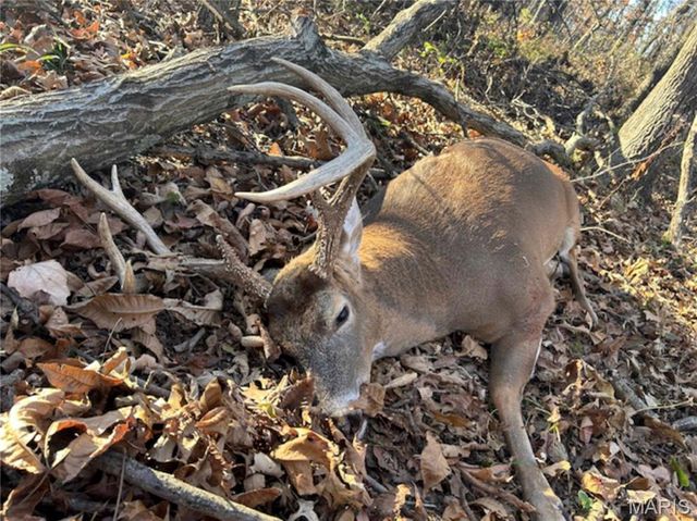 2 Whitetail Ridge Road, Eolia, MO 63344