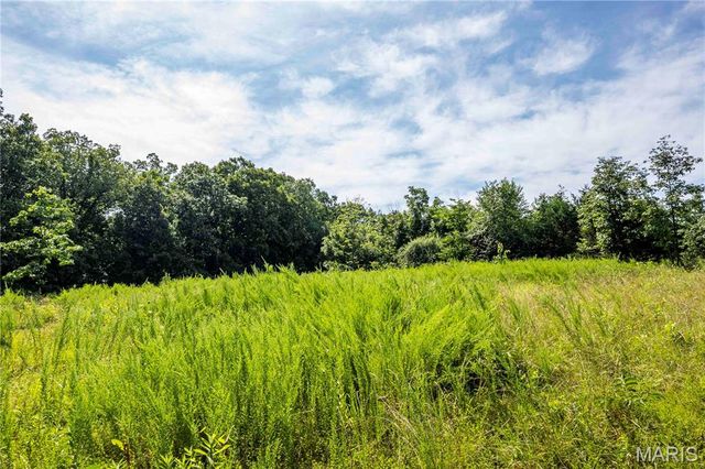 2 Whitetail Ridge Road, Eolia, MO 63344