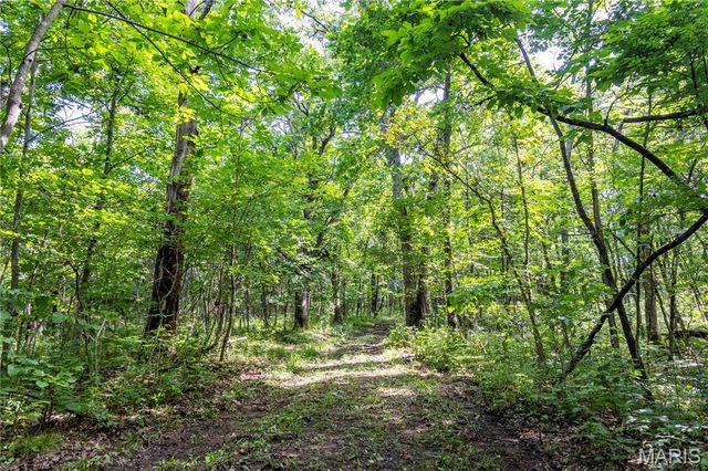 2 Whitetail Ridge Road, Eolia, MO 63344