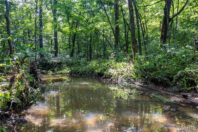 2 Whitetail Ridge Road, Eolia, MO 63344