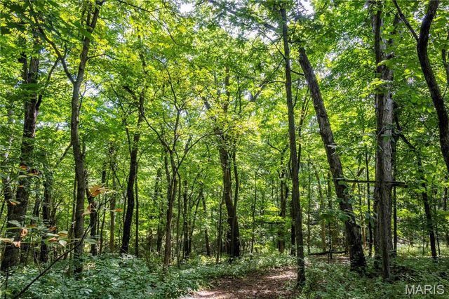 2 Whitetail Ridge Road, Eolia, MO 63344