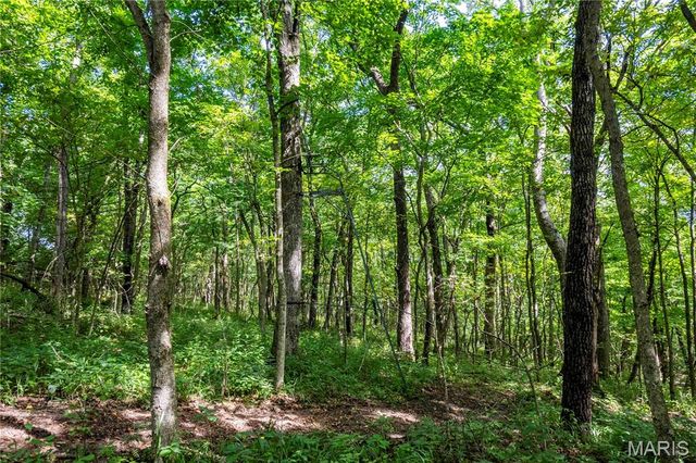 2 Whitetail Ridge Road, Eolia, MO 63344