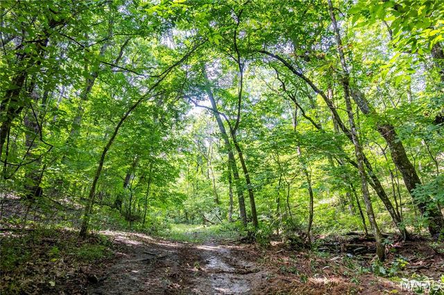 2 Whitetail Ridge Road, Eolia, MO 63344