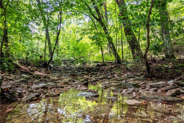 2 Whitetail Ridge Road, Eolia, MO 63344