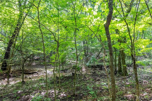 2 Whitetail Ridge Road, Eolia, MO 63344