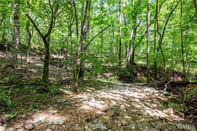 2 Whitetail Ridge Road, Eolia, MO 63344