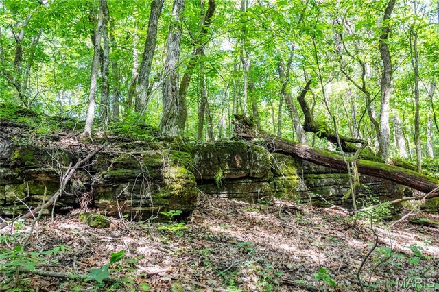 2 Whitetail Ridge Road, Eolia, MO 63344