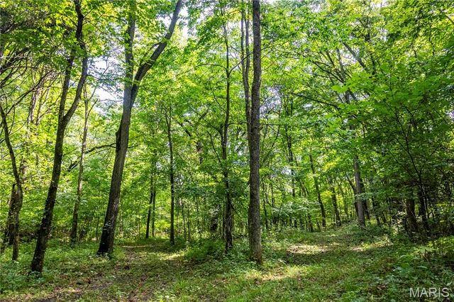 2 Whitetail Ridge Road, Eolia, MO 63344