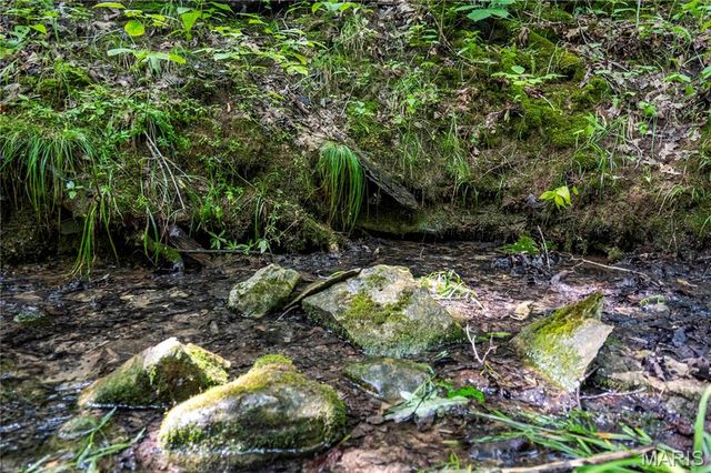 2 Whitetail Ridge Road, Eolia, MO 63344