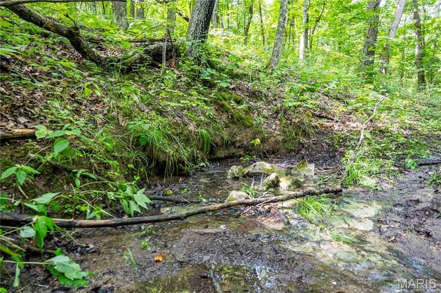 2 Whitetail Ridge Road, Eolia, MO 63344