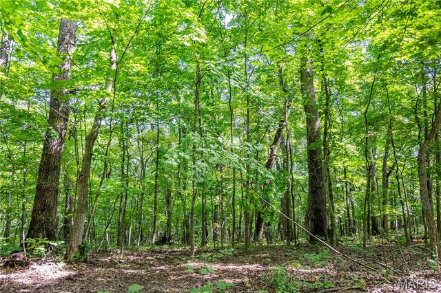 2 Whitetail Ridge Road, Eolia, MO 63344