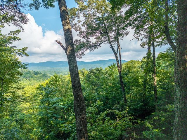 600 Cohutta Mountain Road, Blue Ridge, GA 30513